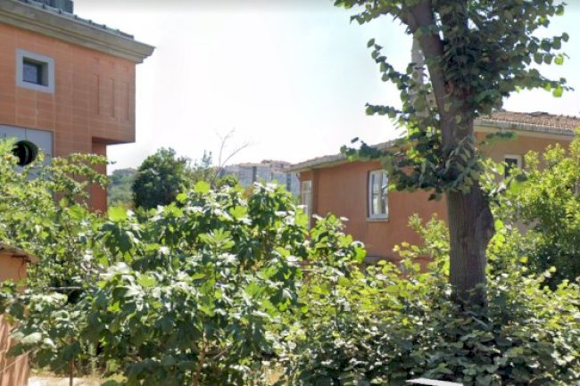 Особняки Арнавуткёй - Kültür